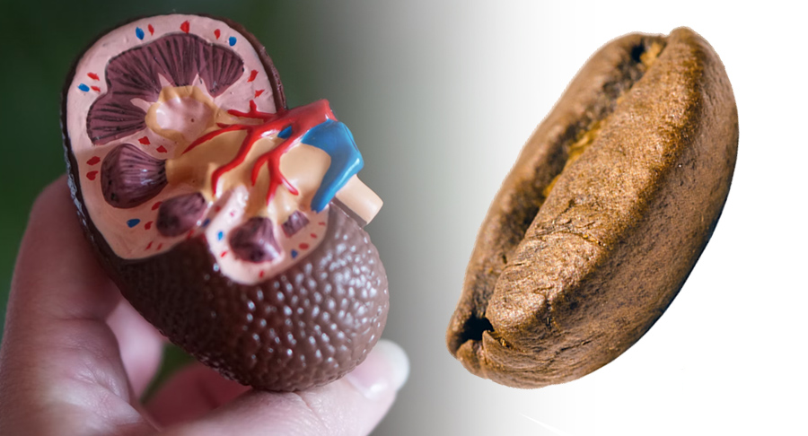 قهوه و سنگ گلیه